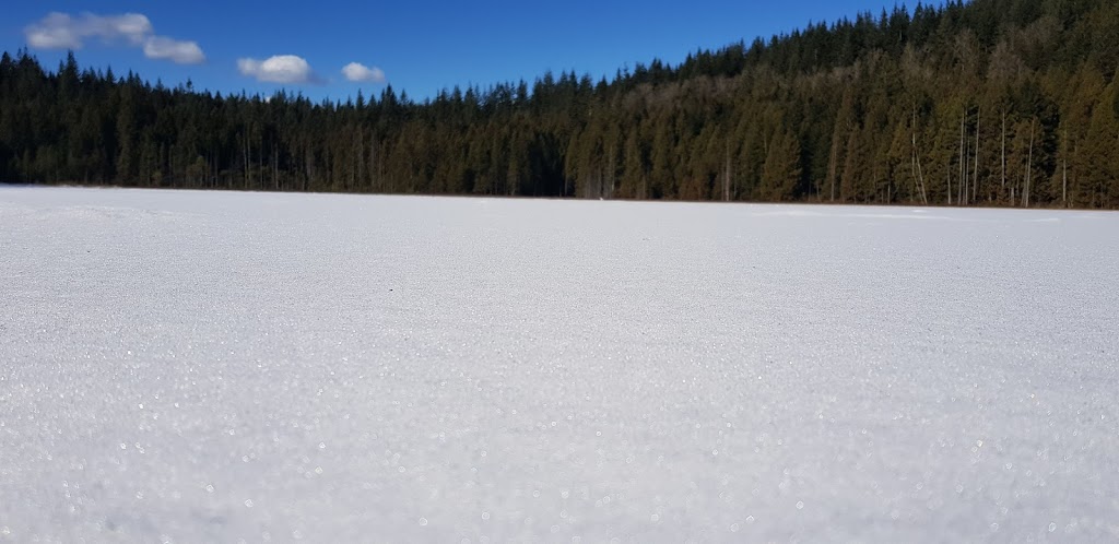 Alouette Mountain Trailhead | Mike Lake Rd, Maple Ridge, BC V0M, Canada