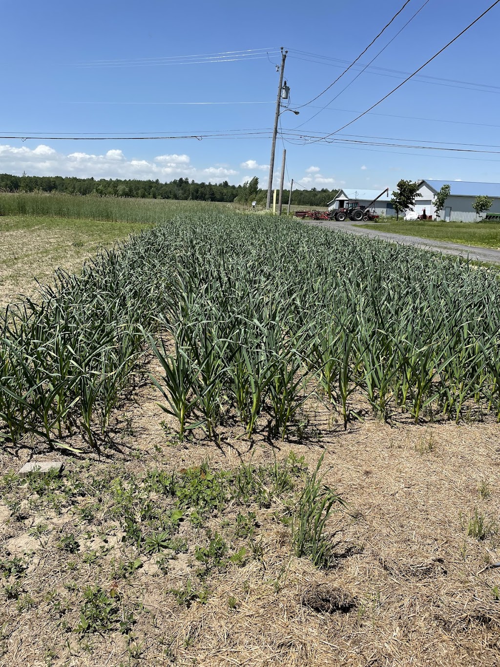 Culture PBS | 4065 Chem. Bellerive, Carignan, QC J3L 7K9, Canada | Phone: (514) 718-7850