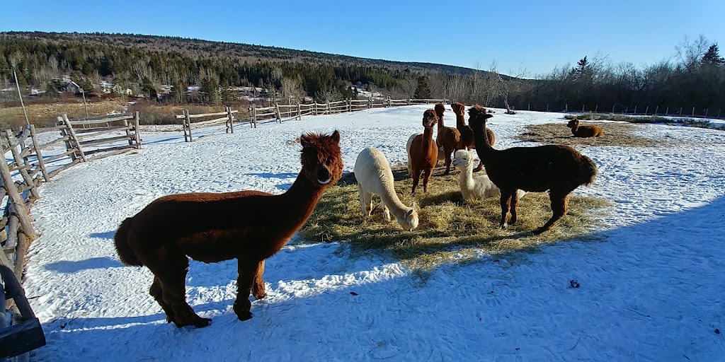 Farm Life Studio and B&B | 474 Albert Mines Rd, Albert Mines, NB E4H 1S5, Canada | Phone: (506) 734-3493