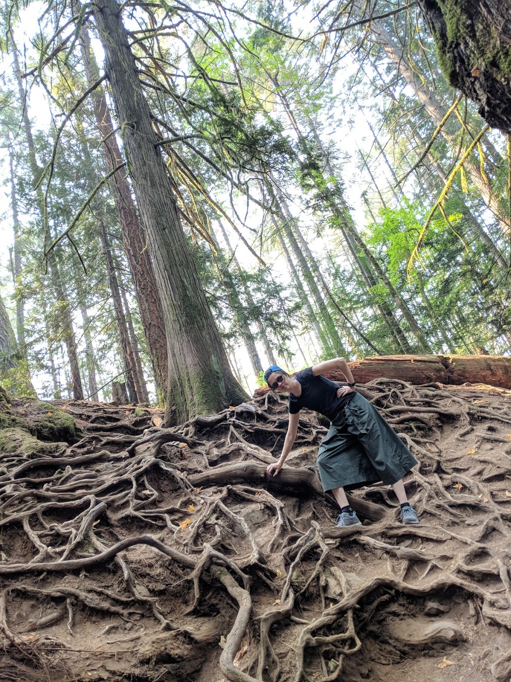 Mount Finlayson Trailhead | Unnamed Road, Victoria, BC V9B 6V3, Canada