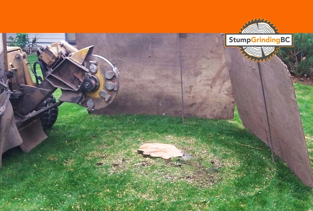 Stump Grinding BC | 11659 272 St, Maple Ridge, BC V2W 1N1, Canada | Phone: (604) 349-9681