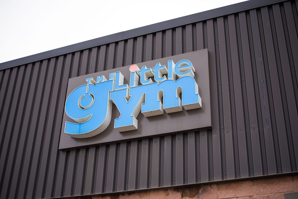 The Little Gym of Oakville, Ontario | 2172 Wyecroft Rd Unit 23, Oakville, ON L6L 6R1, Canada | Phone: (905) 815-8151