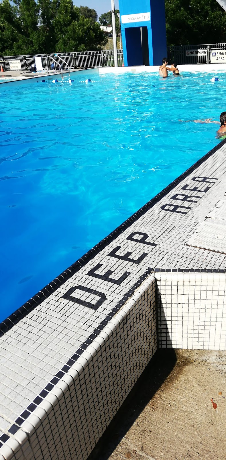 Alex Duff Memorial Pool | 779 Crawford St, Toronto, ON M6G 3K4, Canada | Phone: (416) 392-0910