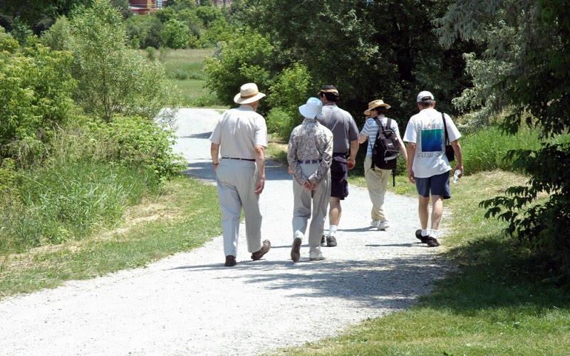 Lake Simcoe Region Conservation Authority (LSRCA) | 120 Bayview Pkwy, Newmarket, ON L3Y 3W3, Canada | Phone: (905) 895-1281