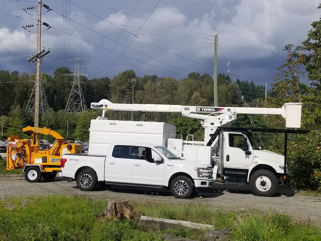 Apex Tree Services | 145 E Kensington Rd, North Vancouver, BC V7N 1P2, Canada | Phone: (778) 839-3430