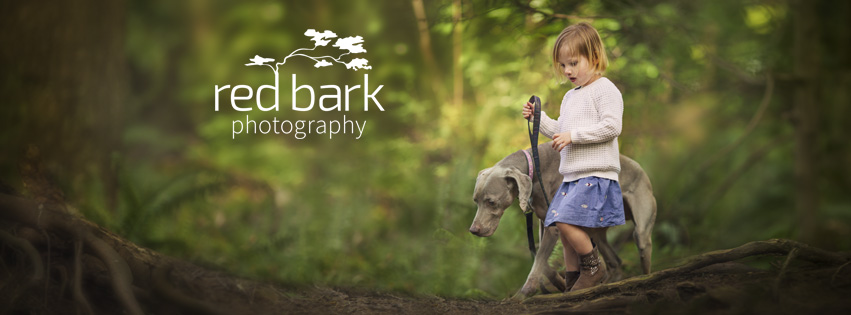 Red Bark Photography | box 205, 41830 Hope Rd, Brackendale, BC V0N 1H0, Canada | Phone: (778) 317-3477