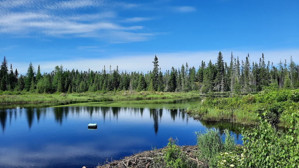 Parc national de la Pointe-Taillon | 835, Rang 3 Ouest, Saint-Henri-de-Taillon, QC G0W 2X0, Canada | Phone: (418) 347-5371