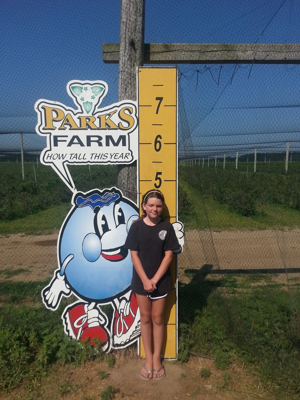 Parks Blueberries | 14815 Longwoods Rd, Bothwell, ON N0P 1C0, Canada | Phone: (866) 901-5373