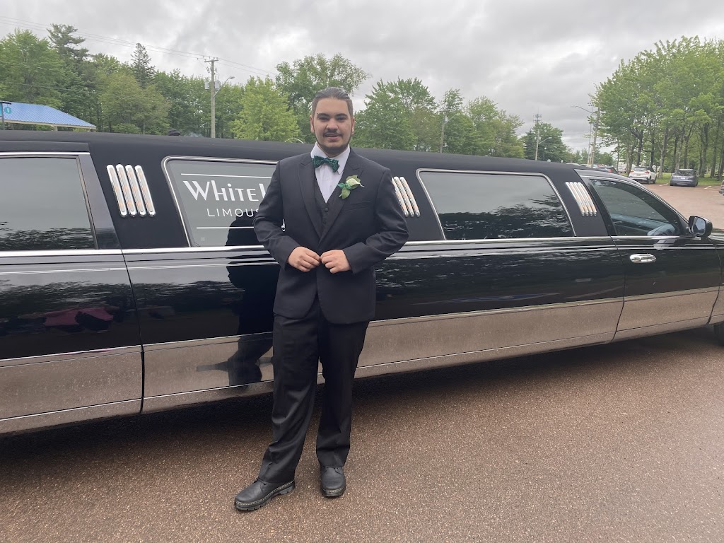 White Lion Limousine Service | 3937 Route 106, River Glade, NB E4Z 3L8, Canada | Phone: (506) 866-8901