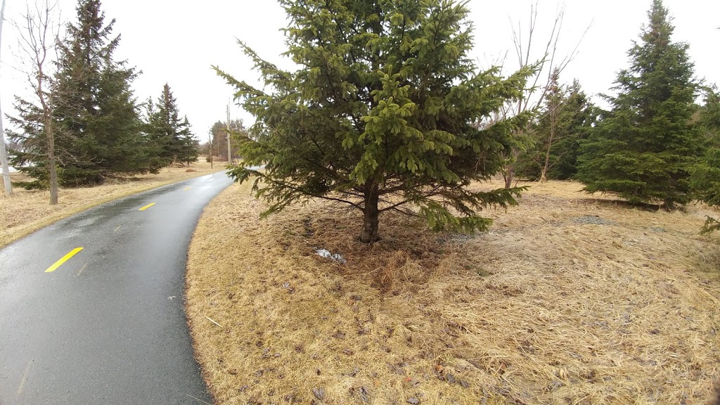 Parc Noe Ponton | Boulevard de lUniversité, Sherbrooke, QC J1K, Canada