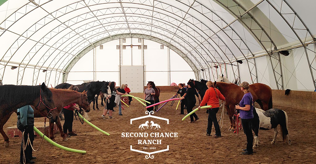 Second Chance Ranch | 292 McPhillips Rd, Saint Andrews, MB R1A 3E4, Canada | Phone: (204) 771-5335