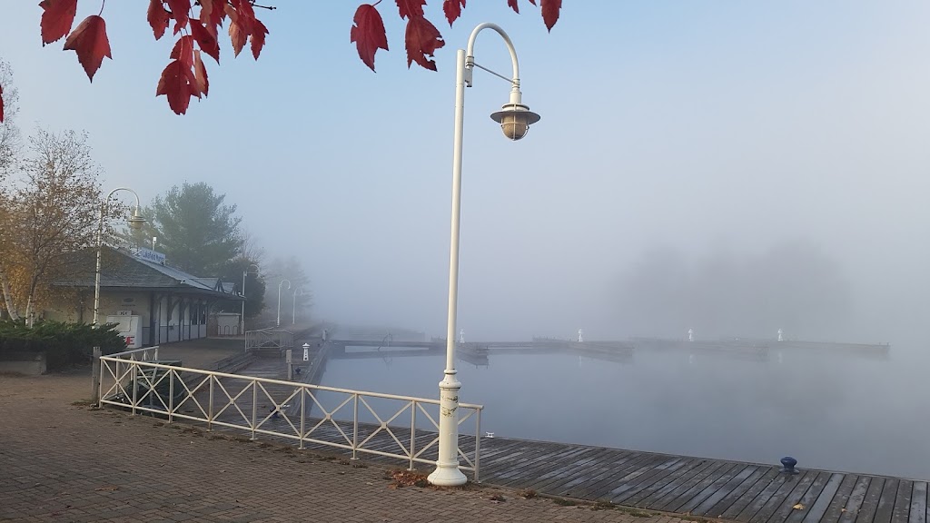 Lakefield Marina | 1 Water St, Lakefield, ON K0L 2H0, Canada | Phone: (705) 652-0330