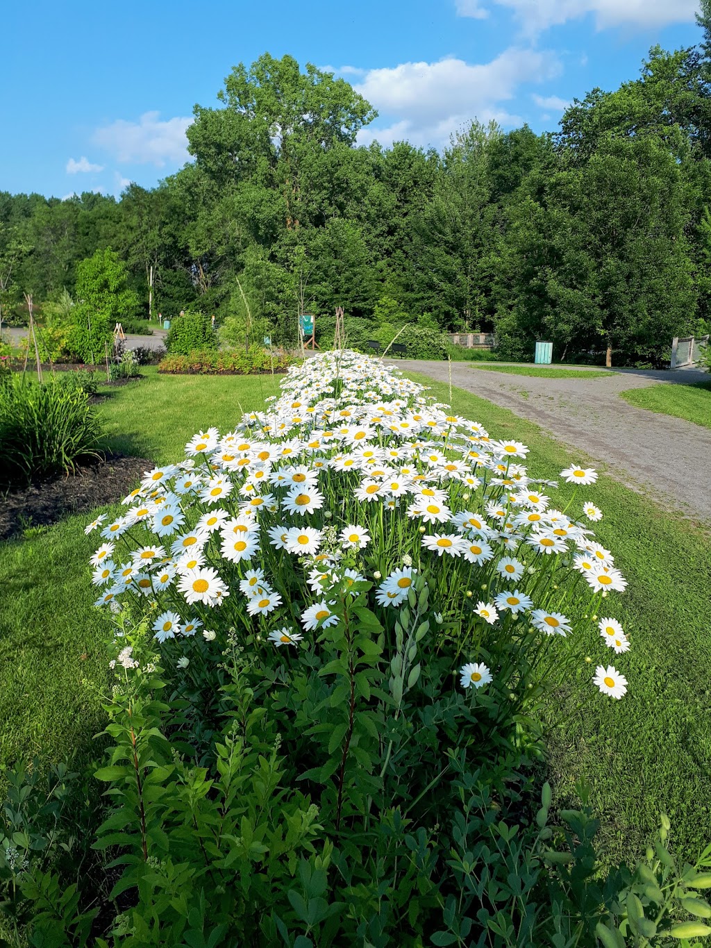 Berge de la Plage-Idéal | Laval, QC H7H 1Y1, Canada | Phone: (450) 978-8000