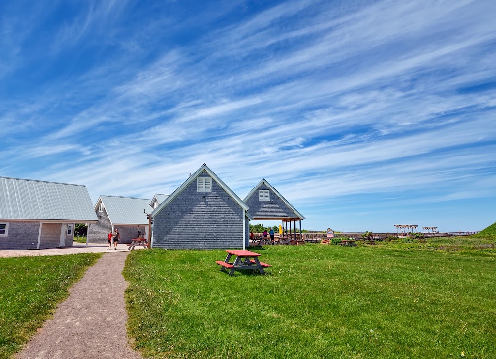 Cavendish Dunelands Trail, Prince Edward Island National Park | 590 Grahams Ln, Cavendish, PE C0A 1Mn, Canada | Phone: (902) 672-6350