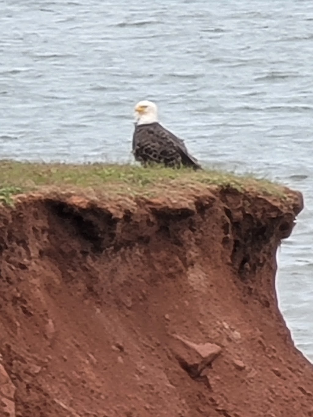 Cape Turner, Prince Edward Island National Park | 750 Gulf Shr Pkwy W, North Rustico, PE C0A 1M0, Canada | Phone: (902) 672-6350