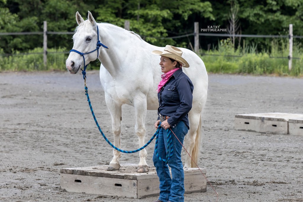 School Edith Ducharme Horsemanship | 85 Rue Ducharme, Orford, QC J1X 6W6, Canada | Phone: (819) 679-2137