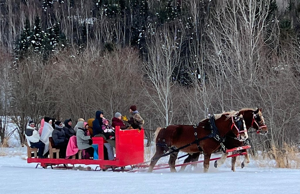 Les Montagnards de Charlevoix | Randonnée équestre | 652 Chemin St Laurent, Baie-Saint-Paul, QC G3Z 2L7, Canada | Phone: (418) 580-7816