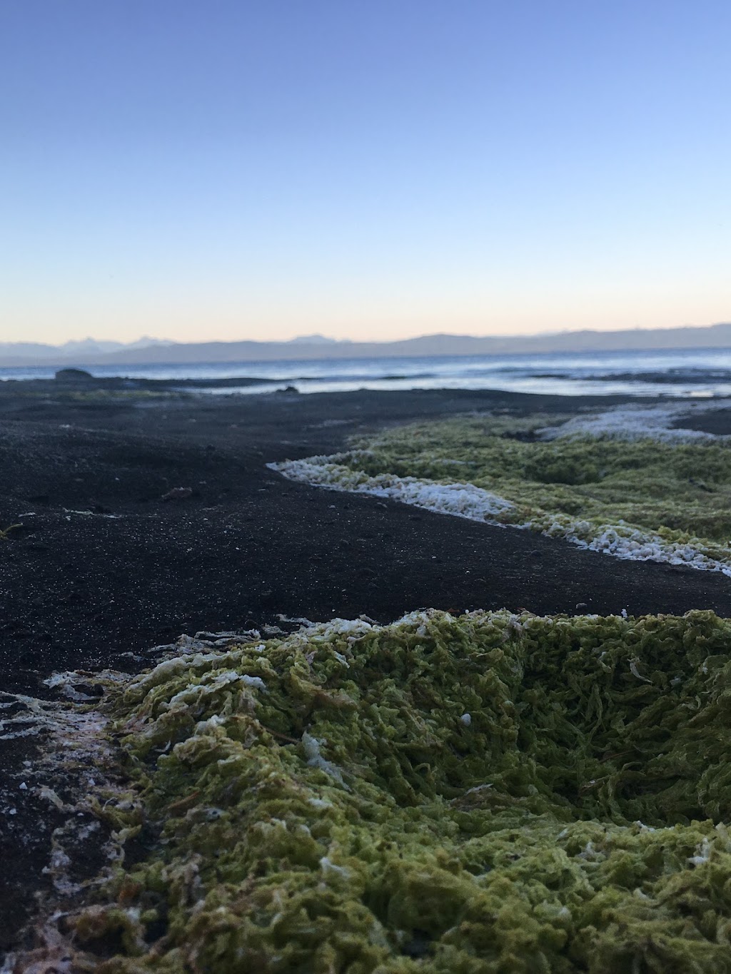 Hidden Beach Community Park | Hornby Island, BC V0R 1Z0, Canada | Phone: (800) 689-9025