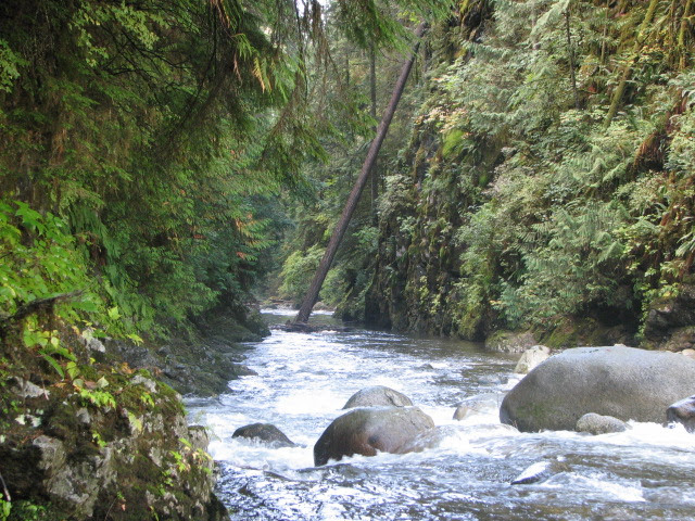 Lynn Canyon Bouldering Field | Lynn Valley Rd, North Vancouver, BC V7K 2T5, Canada