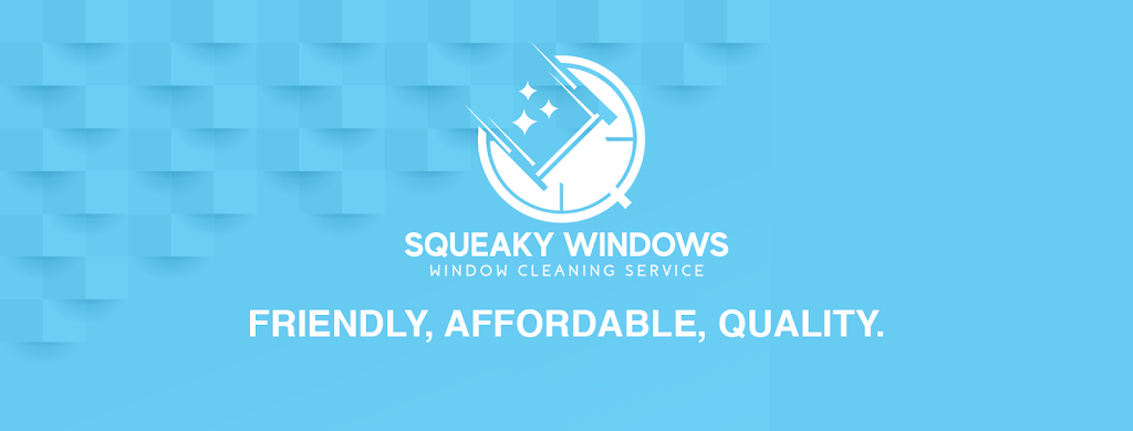 Squeaky Windows | 52 Algonquin Ave, Winnipeg, MB R2G 2H3, Canada | Phone: (204) 218-2018