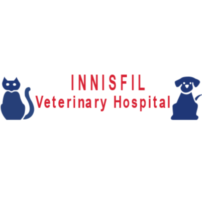 Innisfil Veterinary Hospital | 1538 Innisfil Beach Rd, Innisfil, ON L9S 4B8, Canada | Phone: (705) 436-2000