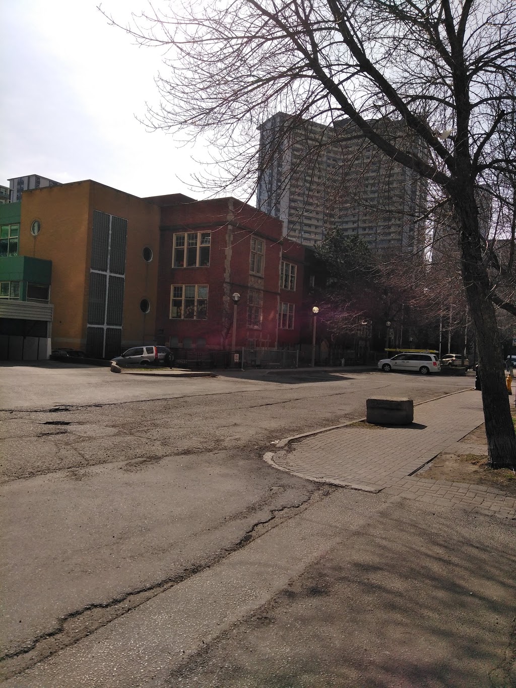 Rose Avenue Junior Public School | 675 Ontario St, Toronto, ON M4X 1N4, Canada | Phone: (416) 393-1260