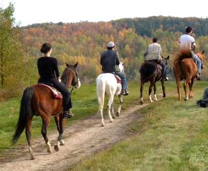 Ranch-O-Bois Rond | 31 45e Avenue Rivière Boule, Saint-Côme, QC J0K 2B0, Canada | Phone: (450) 883-5441