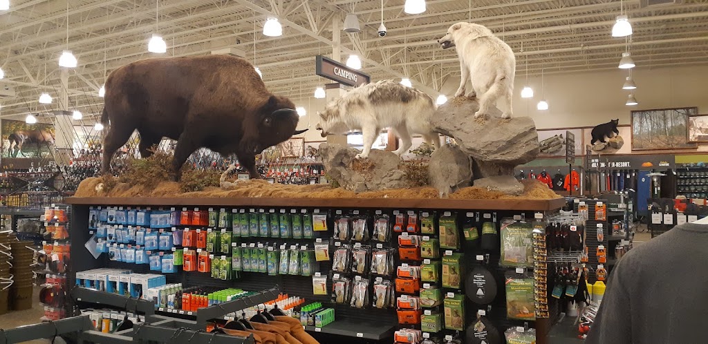 Cabelas | 1818 McCallum Rd, Abbotsford, BC V2S 0H9, Canada | Phone: (604) 425-1800