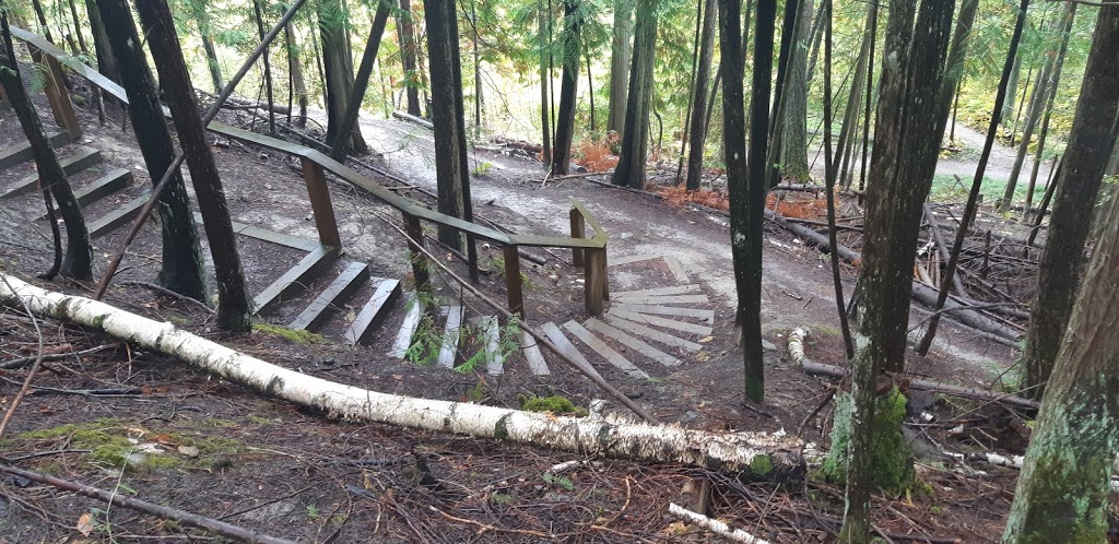 Park Hill Trail System | 6699 Parkhill Rd NE, Salmon Arm, BC V1E 2A9, Canada | Phone: (250) 804-1964