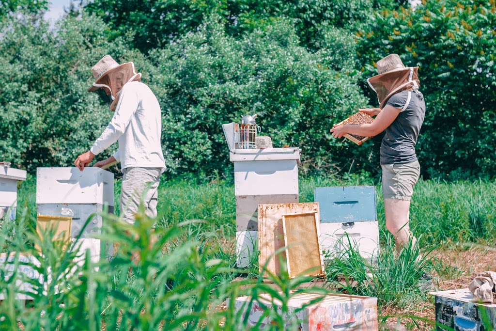 Sōl Flower Apiaries & Farm | 135 Turtle Lake Rd, Rosseau, ON P0C 1J0, Canada | Phone: (519) 212-3950