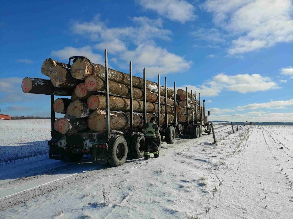 Abenakis Log Homes Limited | 11 8e Rang, Saint-Damien-de-Buckland, QC G0R 2Y0, Canada | Phone: (877) 318-5355