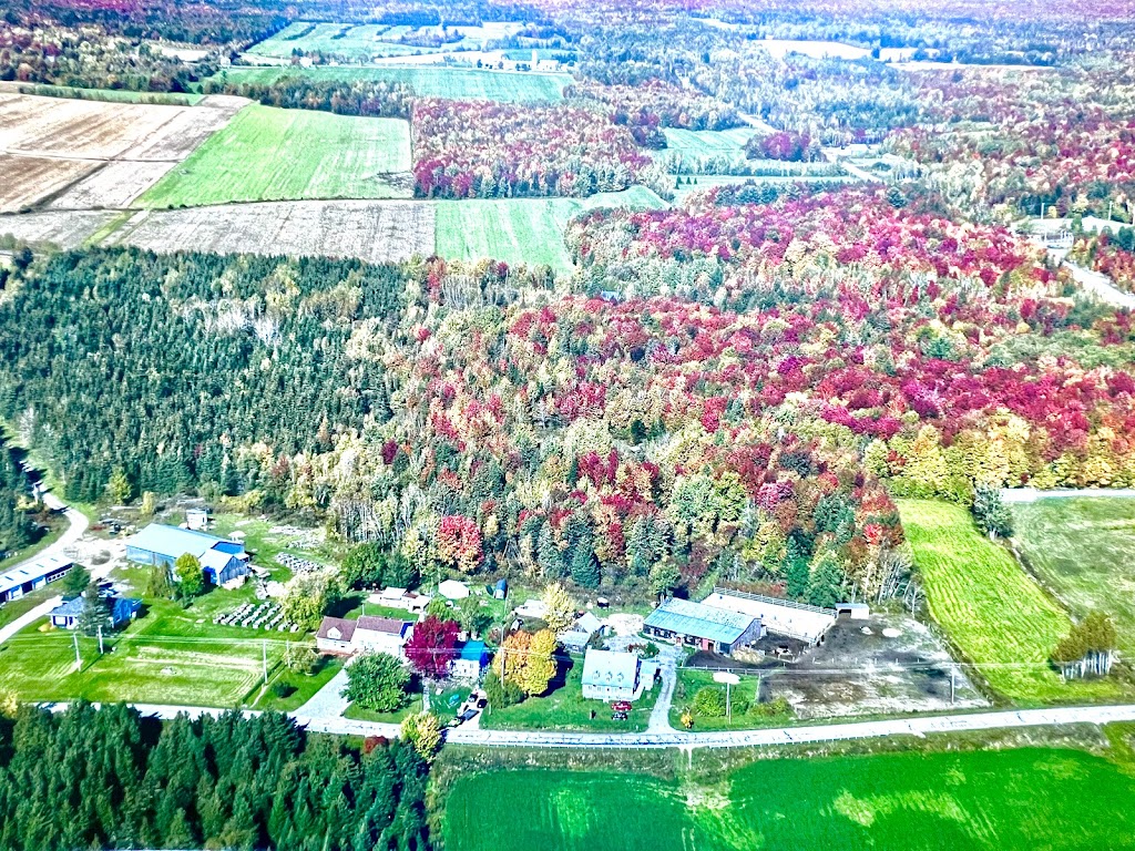 Agri-Répit | 38 2e Rang, Deschambault, QC G0A 1S0, Canada | Phone: (418) 802-5331