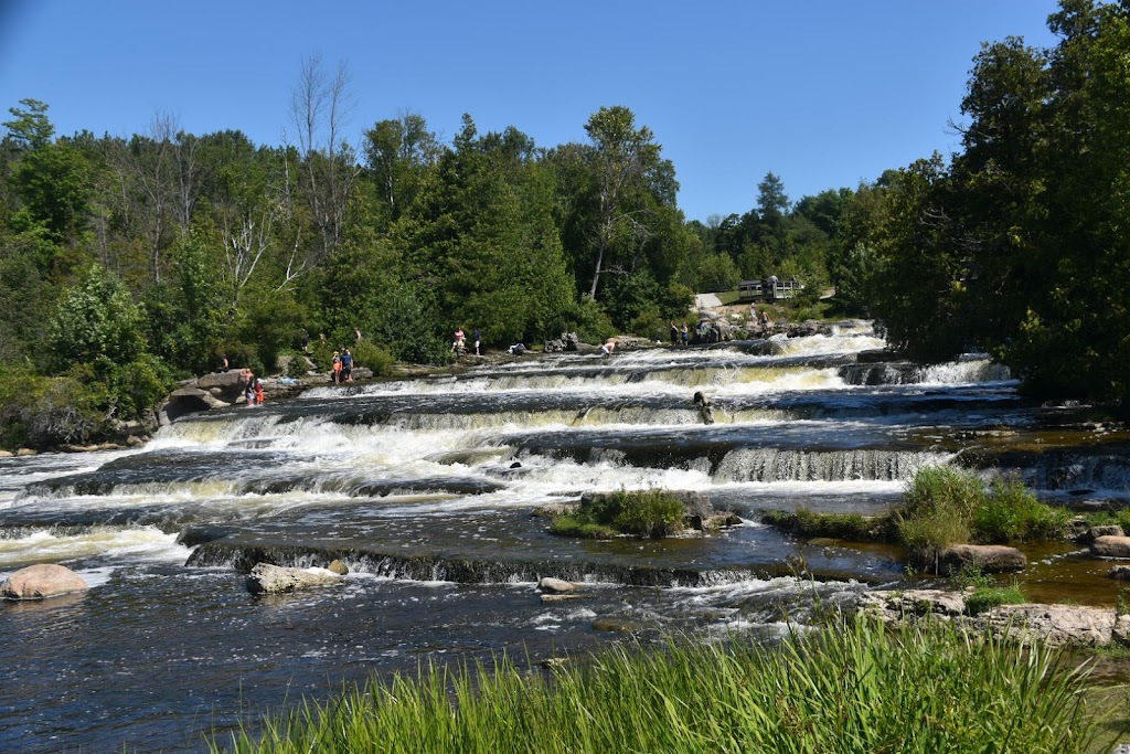 Sauble Falls Provincial Park - pay parking lot | 954-962 Sauble Falls Pkwy, Wiarton, ON N0H 2T0, Canada | Phone: (519) 422-1952
