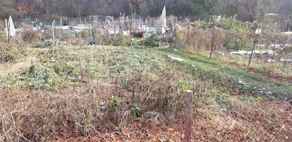 High Park Allotment Garden | High Park-Swansea, Toronto, ON M6R, Canada | Phone: 416-392-8188