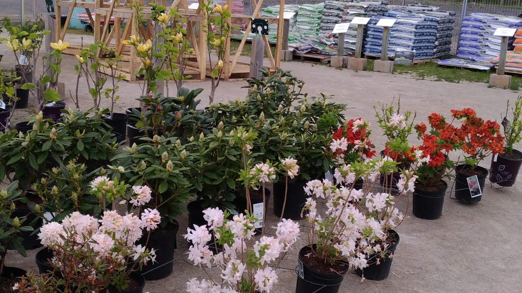 Jade Gardens & Greenhouses | 5532 Trafalgar Rd, Milton, ON L9E 0Y8, Canada | Phone: (905) 878-0722