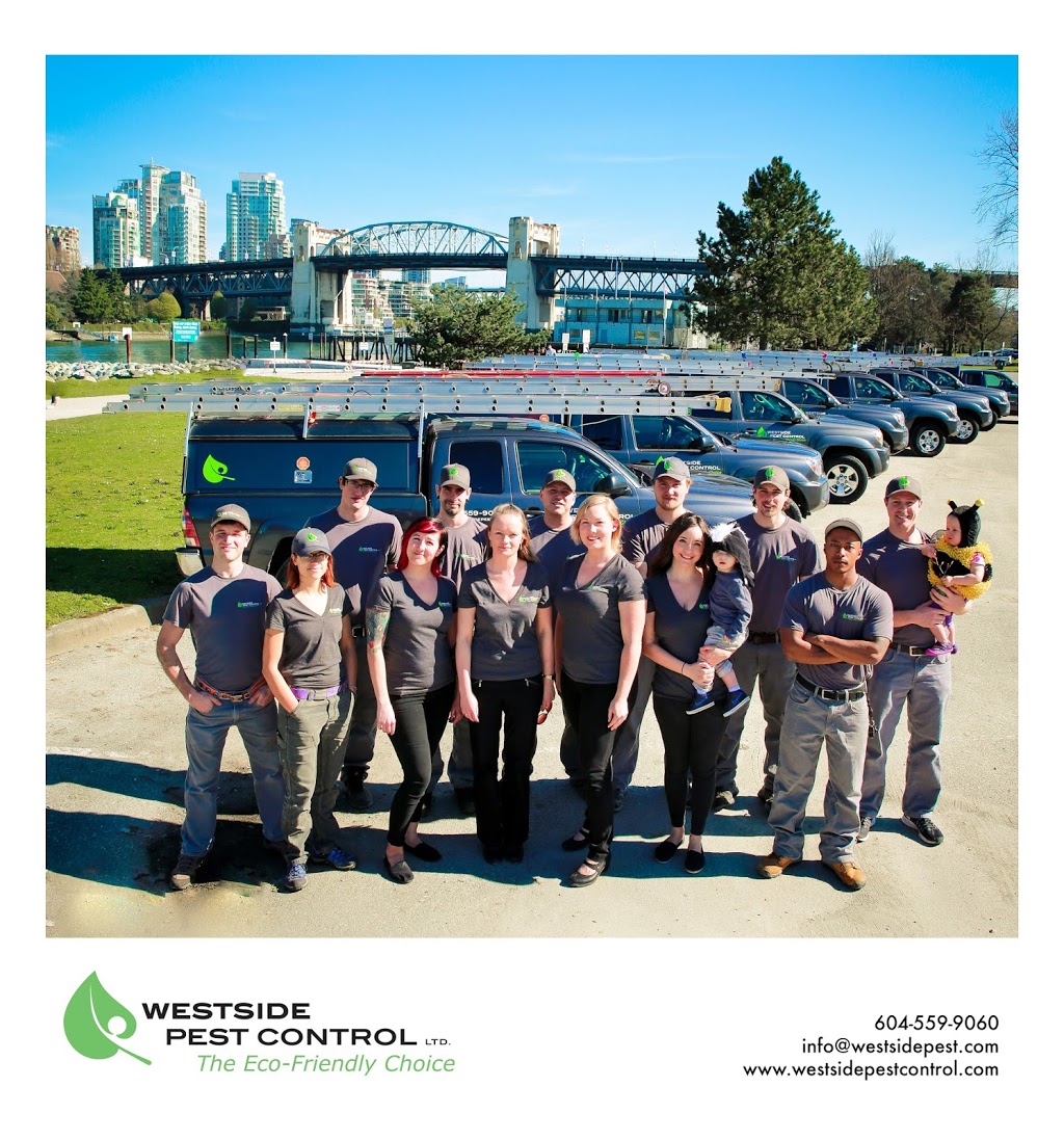 Westside Pest Control Coquitlam | 1-120 Glacier St, Coquitlam, BC V3V 3L6, Canada | Phone: (604) 498-0225