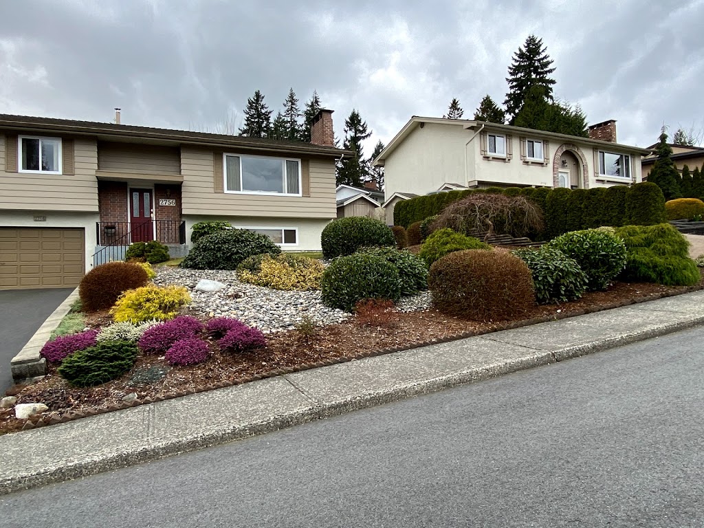 Augusta Lawn Care of Coquitlam | 2340 Lobb Ave, Port Coquitlam, BC V3C 1M8, Canada | Phone: (604) 549-5822