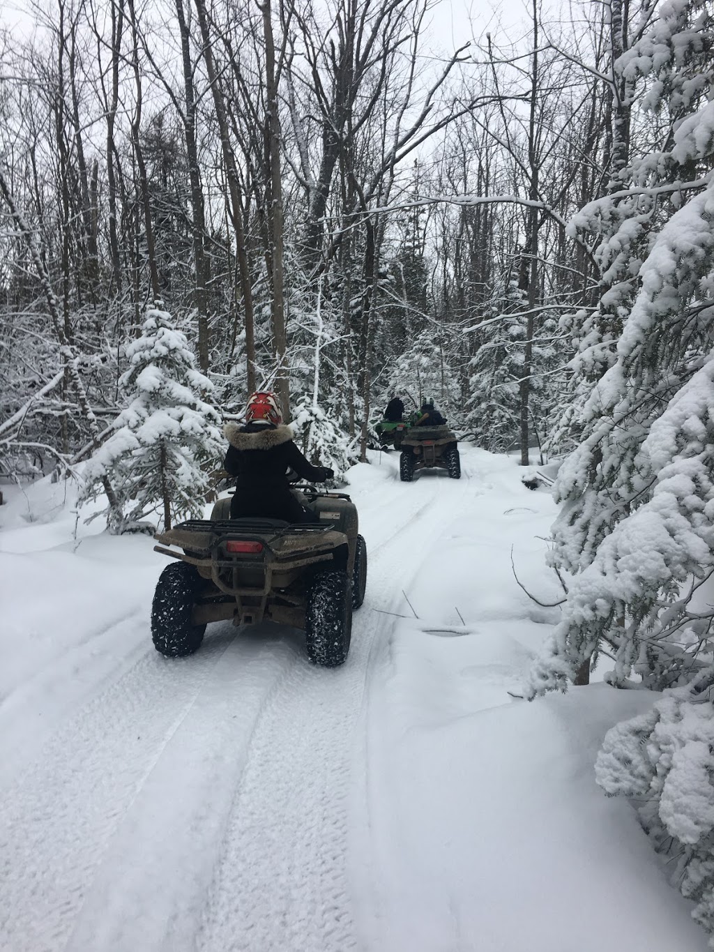 ATV Adventure Tours | 595764 4 Line, Ravenna, ON N0H 2E0, Canada | Phone: (705) 984-7245