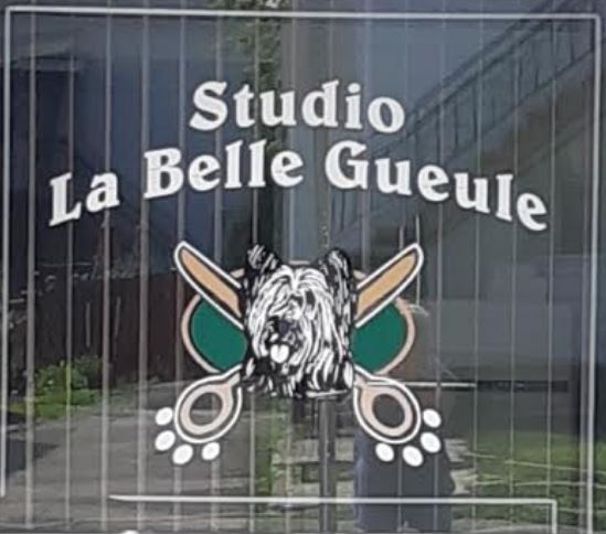 Salon de toilettage Studio La Belle Gueule | 1800 Rue de la Vérendrye, Trois-Rivières, QC G8Z 2E2, Canada | Phone: (819) 373-3150