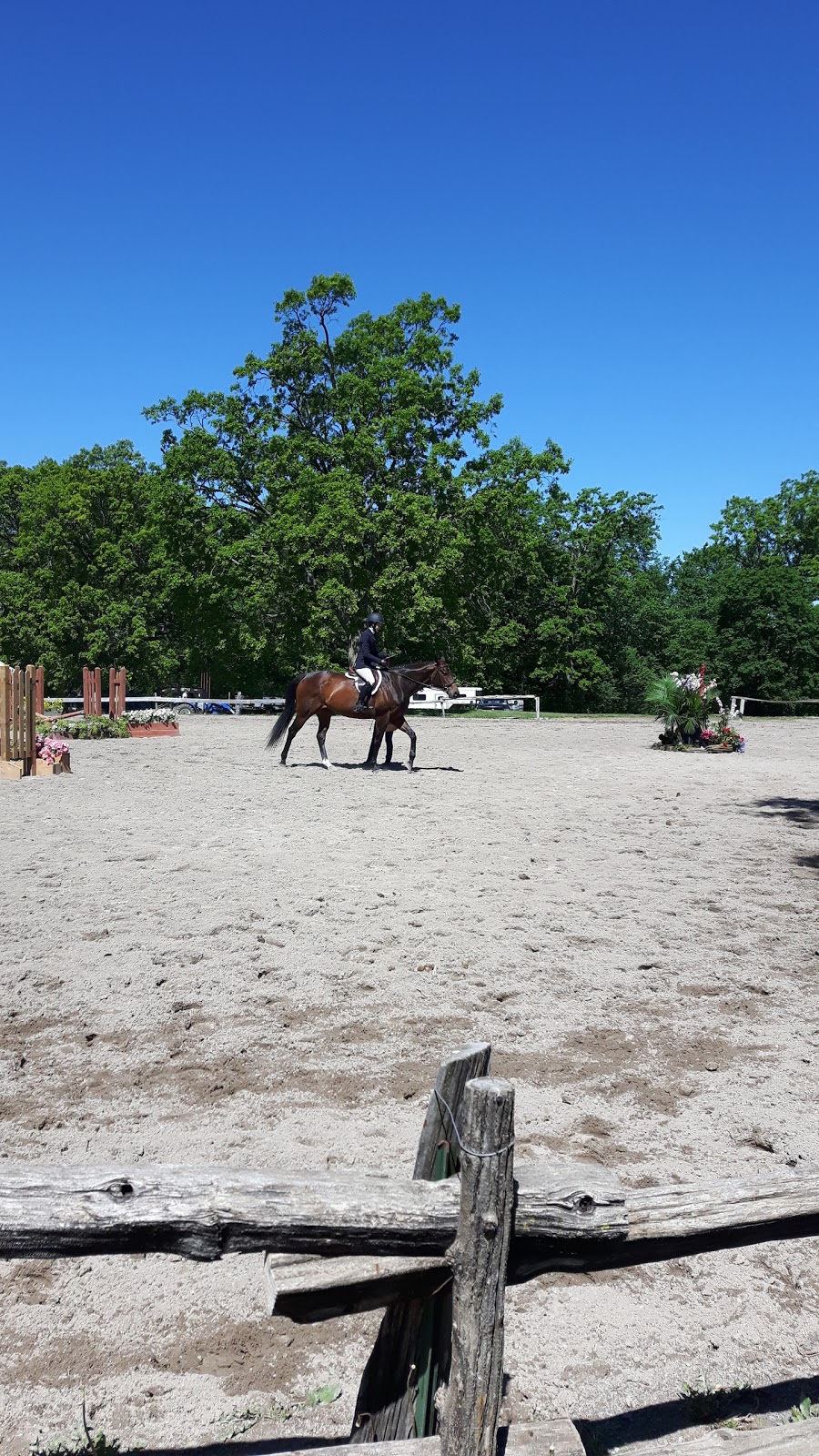 Burbrook Equestrian | 2147 Cordukes Rd, Kingston, ON K7L 4V4, Canada | Phone: (613) 544-3428