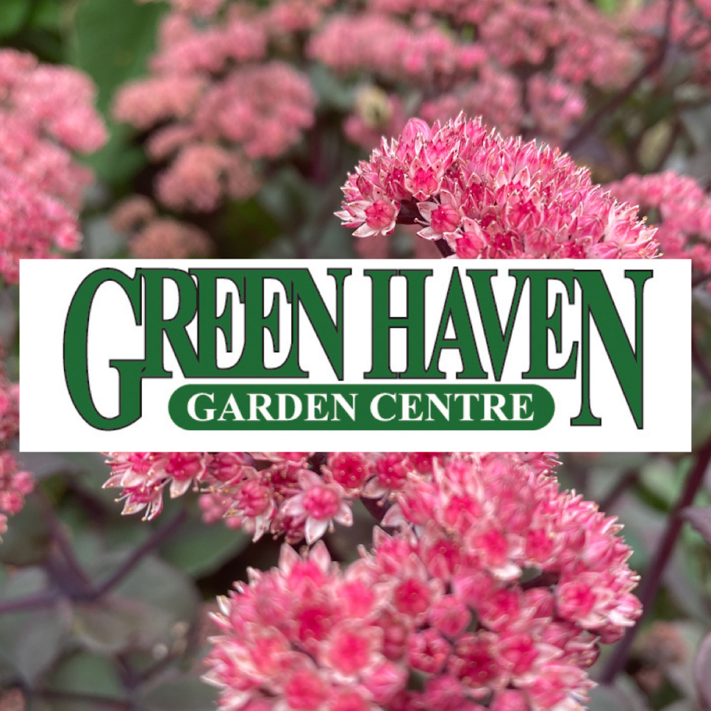 Green Haven Garden Centre | 5 South, Sunnyside Rd, Lethbridge, AB T1J 3Y3, Canada | Phone: (403) 327-6172