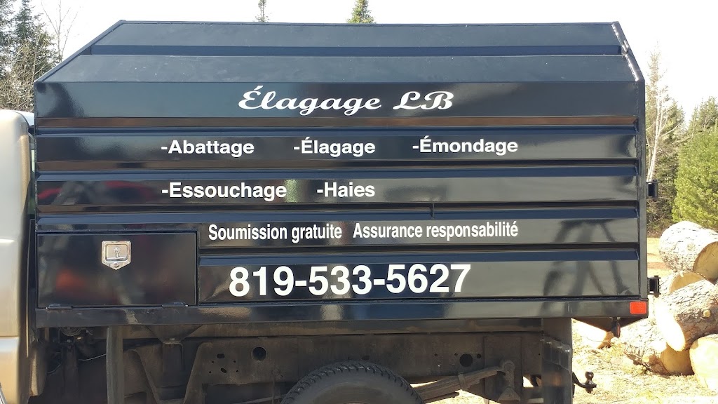 Élagage LB | 391 Chem. du Lac-Pratte, Lac-à-la-Tortue, QC G0X 1L0, Canada | Phone: (819) 533-5627