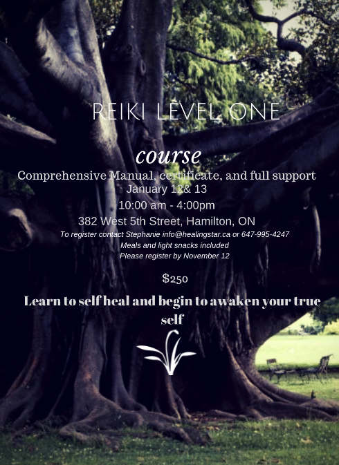 Healing Star Wellness Centre @ BodynSol | 382 West 5th Street, Hamilton, ON L9C 3P6, Canada | Phone: (647) 995-4247