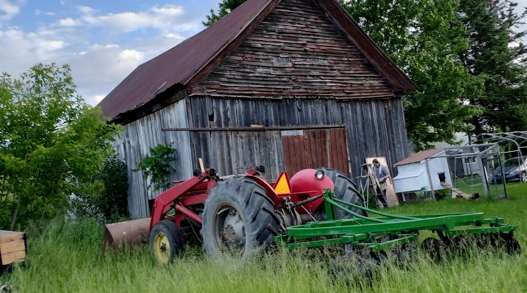 Ferme Joyal et Frères | 12 Rang du Bois-de-Maska, Saint-François-du-Lac, QC J0G 1M0, Canada | Phone: (514) 616-1436