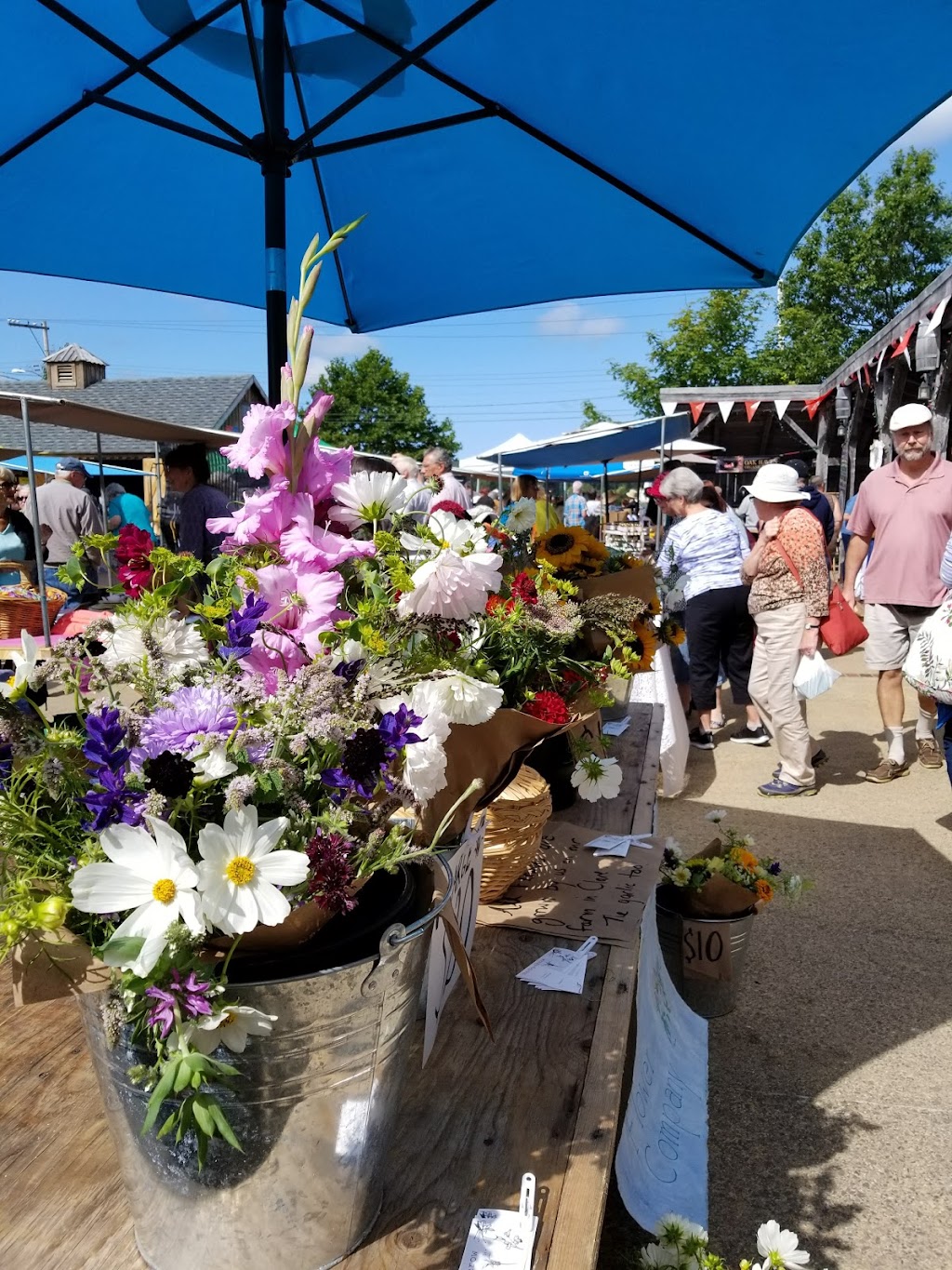 Annapolis Royal Farmers & Traders Market | St George St, Annapolis Royal, NS B0S 1A0, Canada | Phone: (416) 799-5273