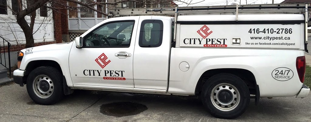 City Pest Control Inc | 1825 Finch Ave W, Toronto, ON M3N 1M7, Canada | Phone: (416) 740-7707