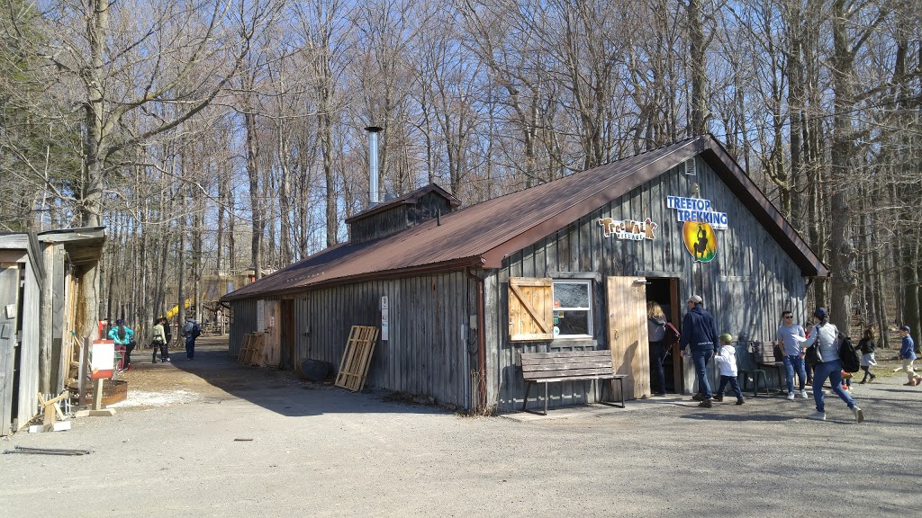 Treetop Trekking Stouffville | 3291 Stouffville Rd, Whitchurch-Stouffville, ON L4A 7X5, Canada | Phone: (844) 369-0009