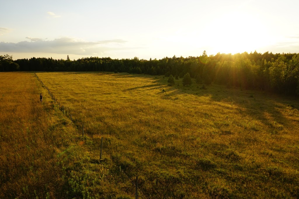 Ferme coopérative Point du Jour | 815 Chem. de Hardwood Flat, Bury, QC J0B 1J0, Canada | Phone: (819) 872-3876