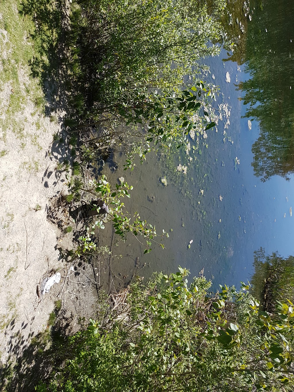 North Creek Duck Pond | 18590 70 Ave, Surrey, BC V4N 6B6, Canada
