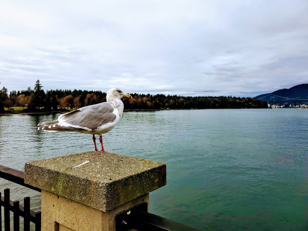 Brockton Point Lighthouse | Vancouver, BC V6G 3E2, Canada | Phone: (604) 873-7000